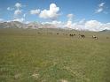20110715_Koschkor-Song-Kul 086